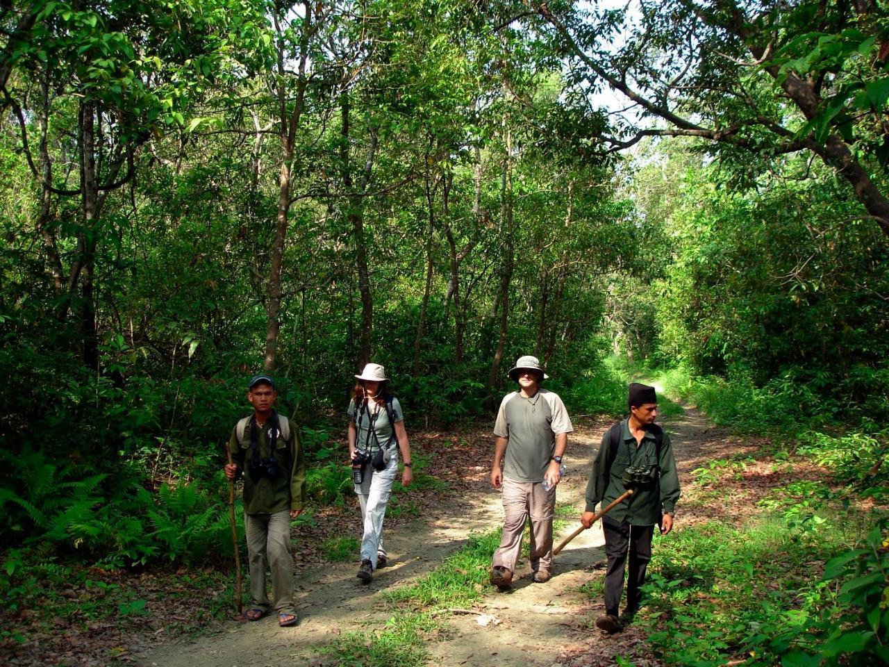 Park Safari Resort Sauraha Exterior foto