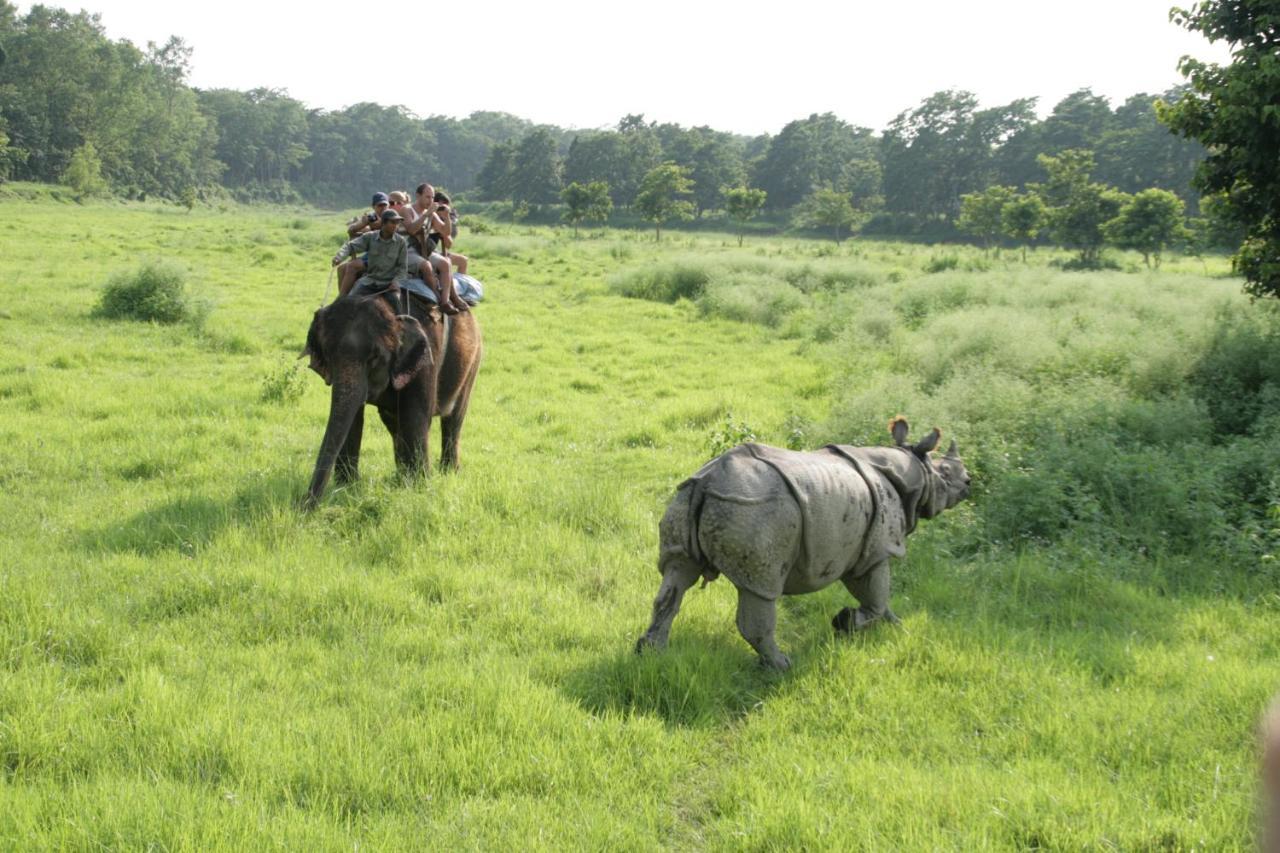 Park Safari Resort Sauraha Exterior foto